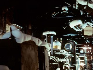 The Long Shed - The snow can clearly be seen clinging throughout the shed