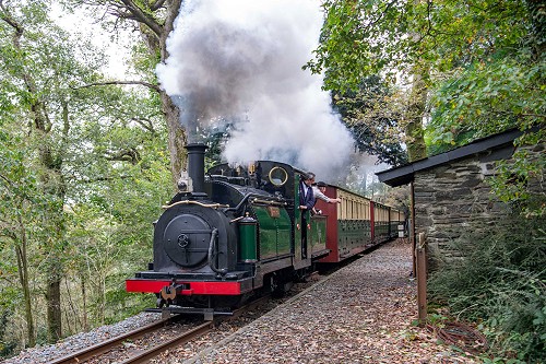 202510 PrincePlasHalt