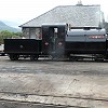 Welsh Pony Steamed Saturday 27 June