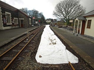 In the Station, with membrane on 8 January