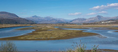 Looking from the Cob Looking from the Cob