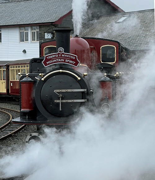 202603MS